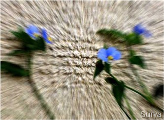 Surya: Para el mareo